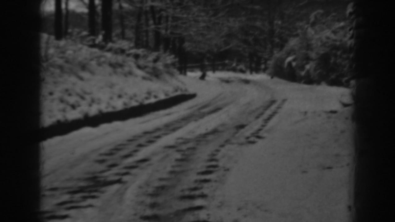 Snowy road and wooded banks seen from a forward-moving viewpoint.