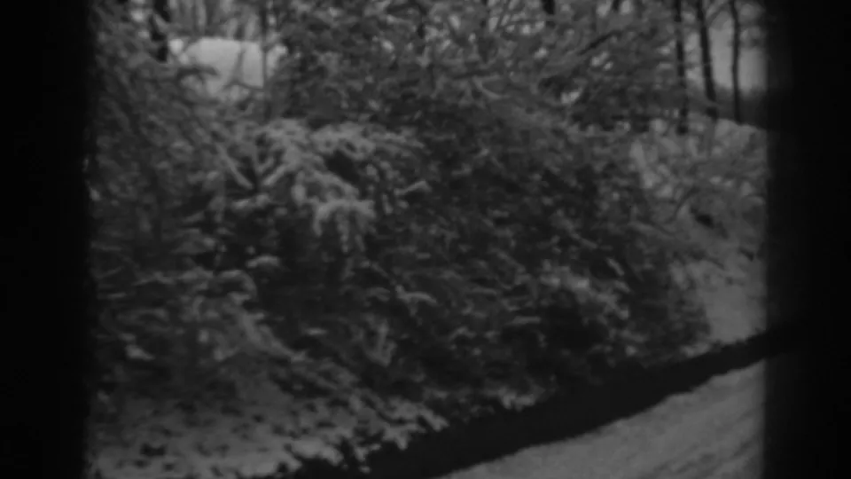 1938 8mm frame showing snow-laden roadside bushes and trees along a rural Winchester, Maryland winter route.