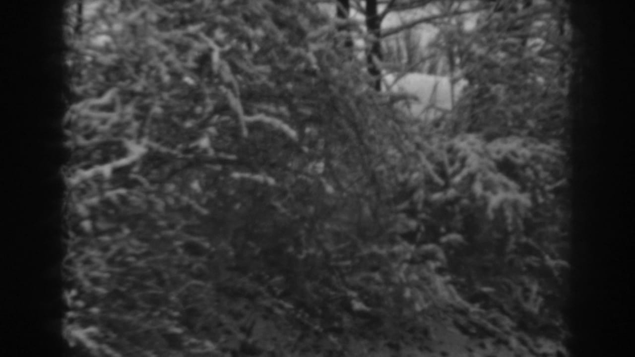 Snow-covered landscaping and bare branches fill the frame in this 1938 Winchester, Maryland home-movie view.