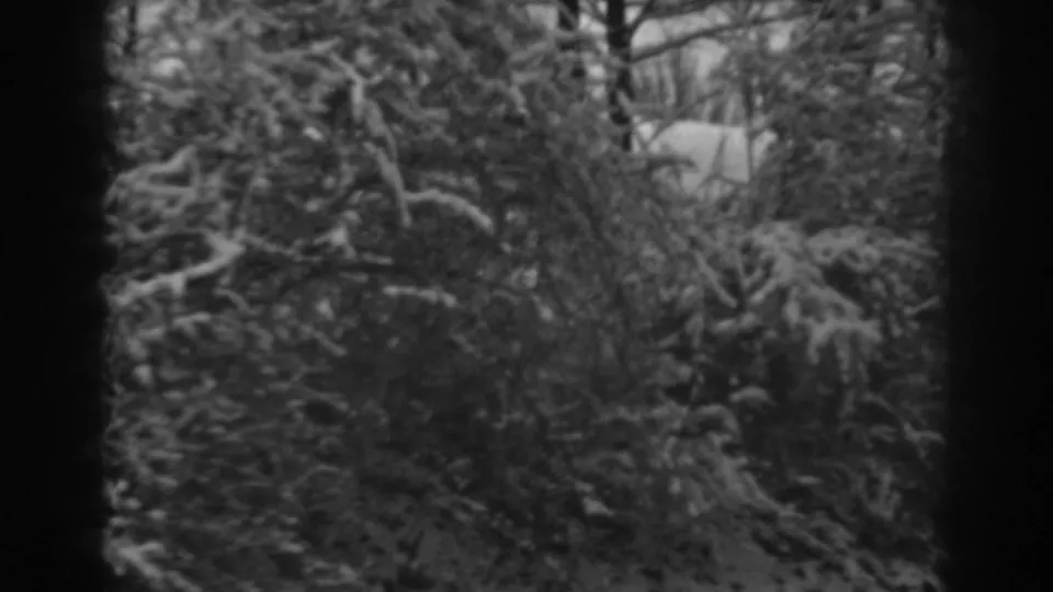 Snow-covered landscaping and bare branches fill the frame in this 1938 Winchester, Maryland home-movie view.