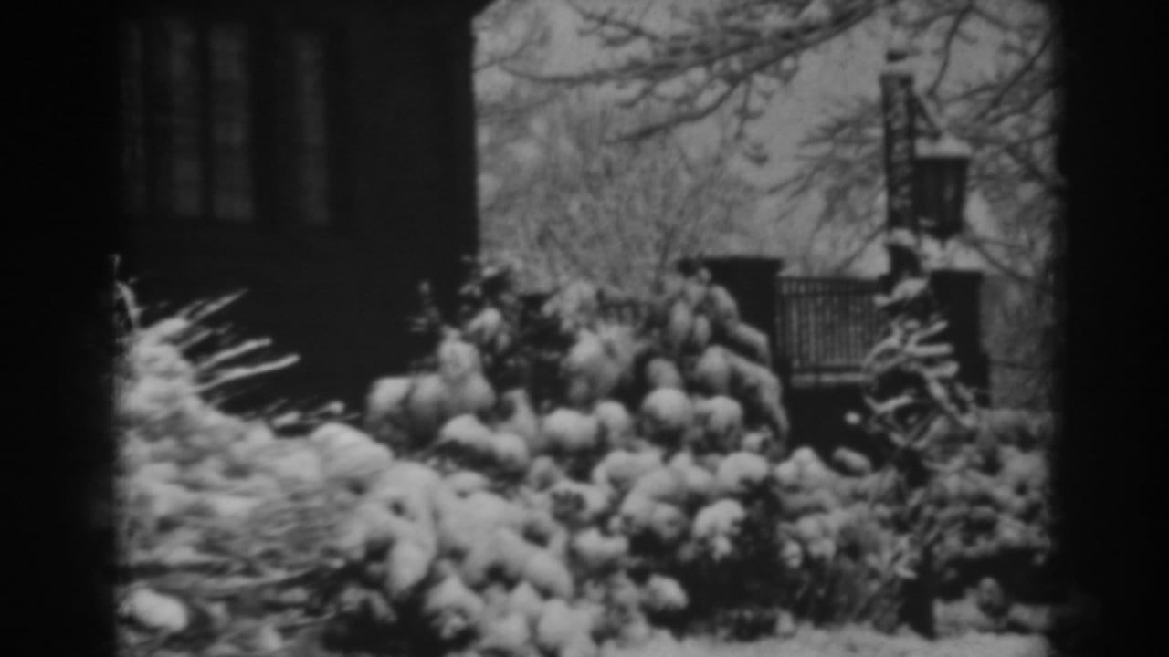 Snow-covered shrubs and bare branches outside a large dark house.