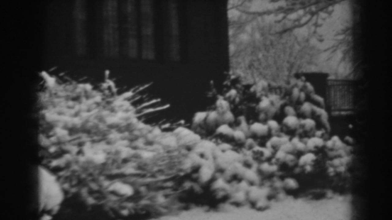 Snow-heavy shrubs and bare branches appear beside a large Winchester, Maryland house in this 1938 8mm frame.