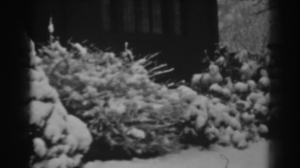 A soft 8mm frame shows a snow-covered residential garden in Winchester, Maryland, with the house partly visible behind it.