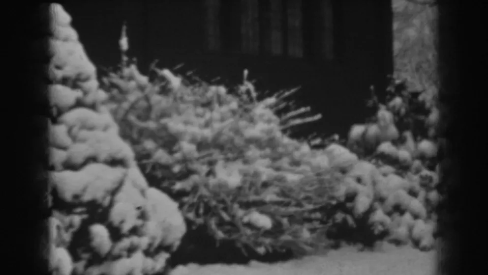The final frame holds on snow-laden shrubs near a large house exterior, consistent with the supplied 1938 Winchester metadata.