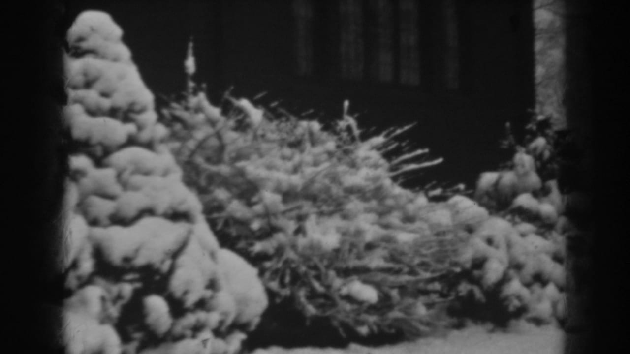 Snow-covered shrubs and branches framed by dark 8mm borders.