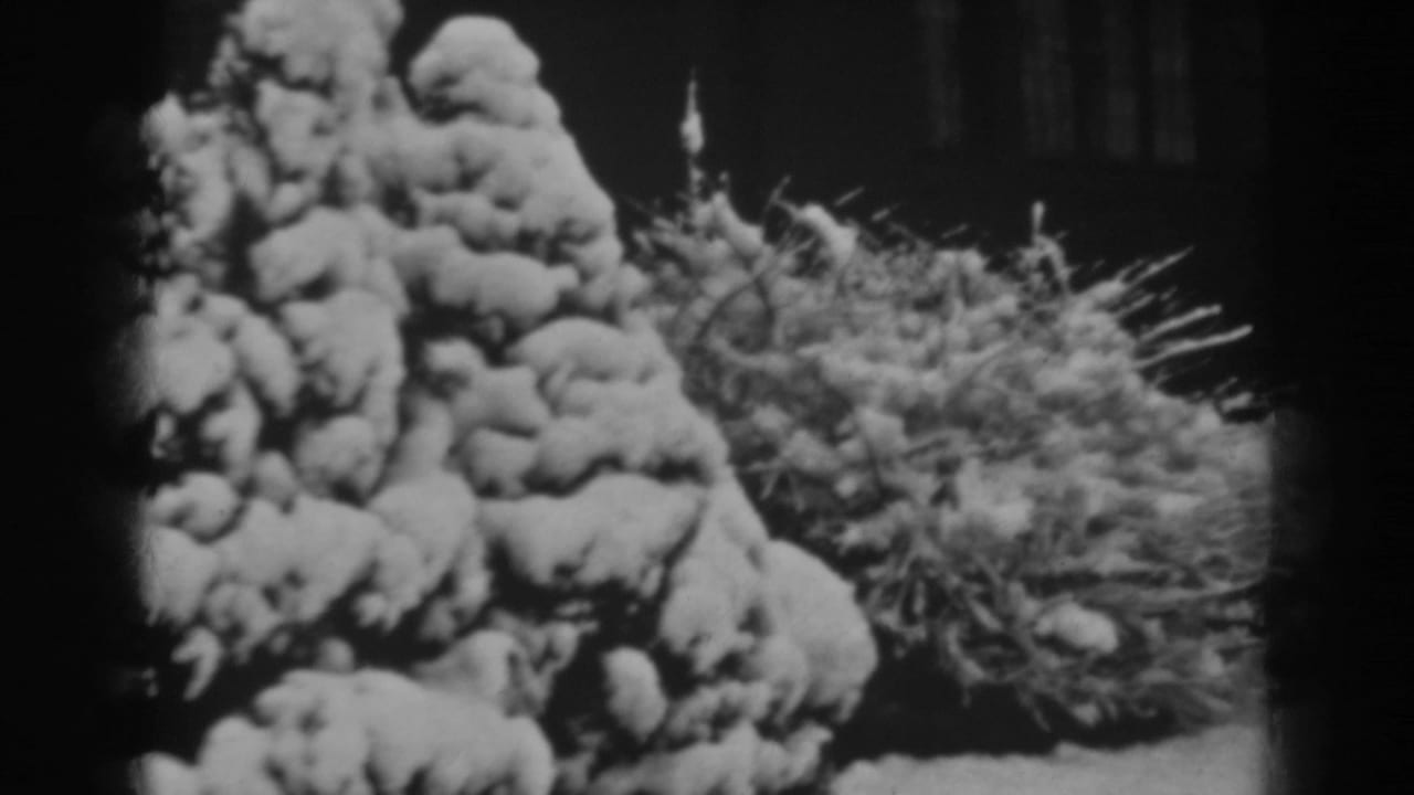 1938 Winchester, Maryland frame with rounded masses of snow on shrub branches and darker vertical forms in the background.