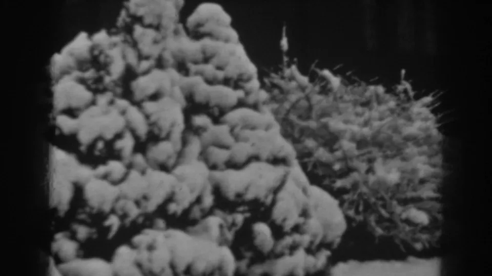 Black-and-white 8mm home-movie frame from Winchester, Maryland showing close snow accumulation on shrubs and branching sticks.