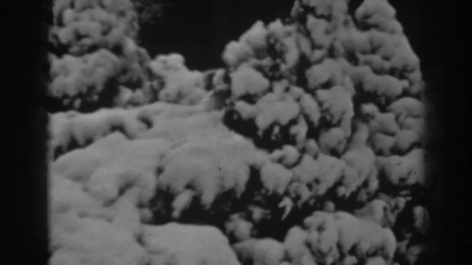 Snow blankets low evergreen shrubbery in this black-and-white 8mm winter frame from Winchester, Maryland.