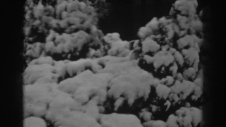 Near the end of the 1938 Winchester clip, dense snow remains piled over evergreen bushes in soft 8mm footage.