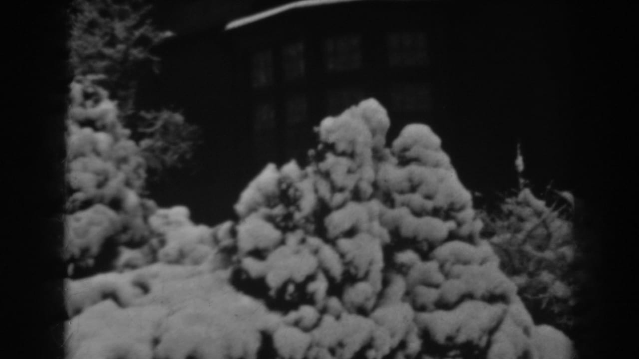 1938 Winchester, Maryland winter frame with heavy snow on shrubs and a dark house partly visible behind them.