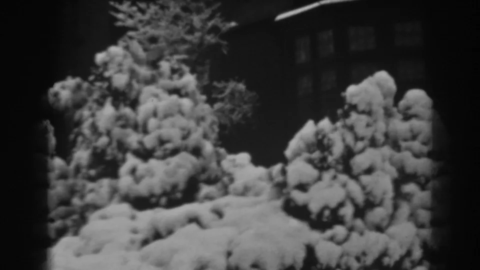 1938 home-movie frame from Winchester, Maryland showing snow-coated evergreens, rounded shrubs, and a shadowed house exterior.