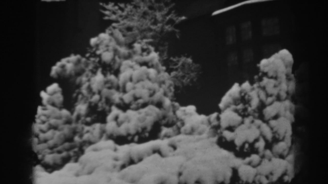 1938 Winchester, Maryland home-movie frame showing snow-laden evergreens and a dark house exterior in soft black-and-white 8mm footage.