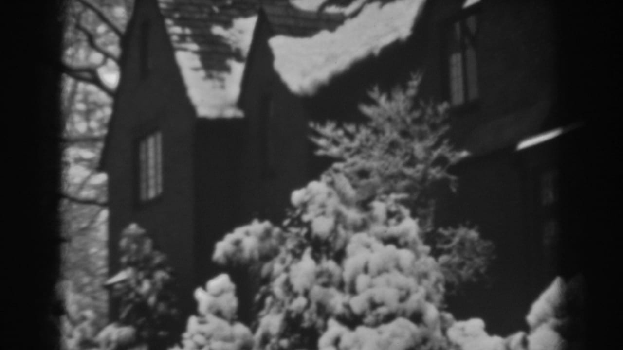Snow-covered steep roof and evergreen shrubs in front of a dark house.