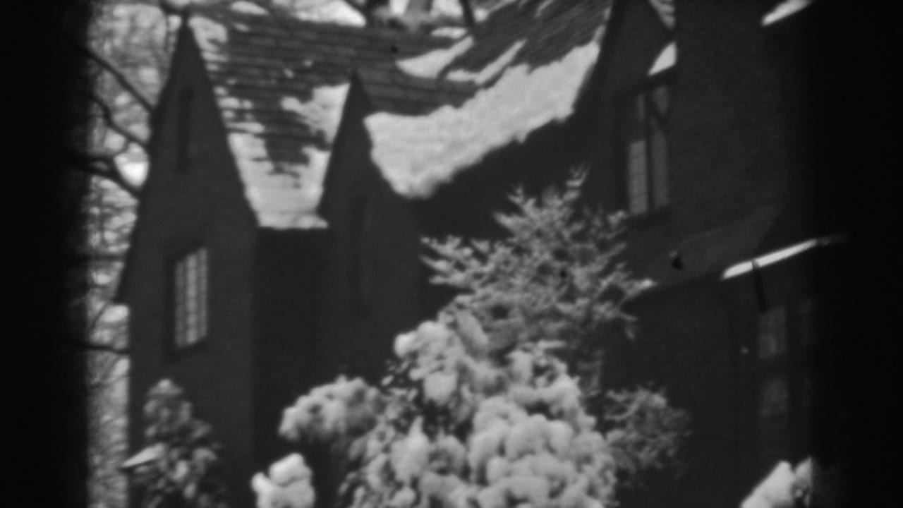 Snowy evergreens and steep house roof framed from the front yard.