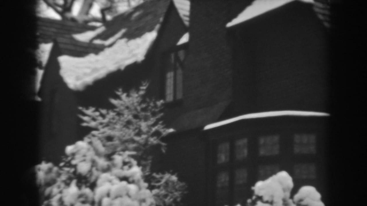 Snowy roof and chimney of a dark house with evergreen shrubs in front.
