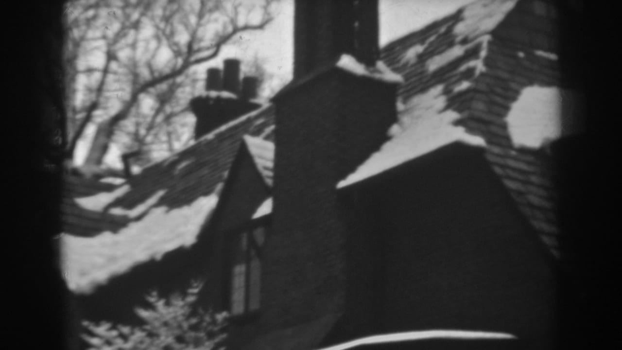 Snow-covered house roof with brick chimneys and bare trees behind it.