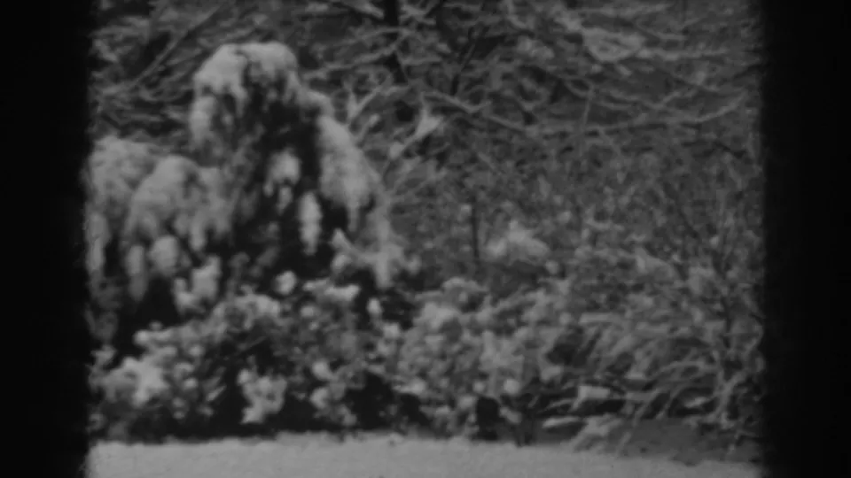 1938 Winchester, Maryland garden view with snow-covered shrubs, low plants, and winter branches in a home-movie frame.