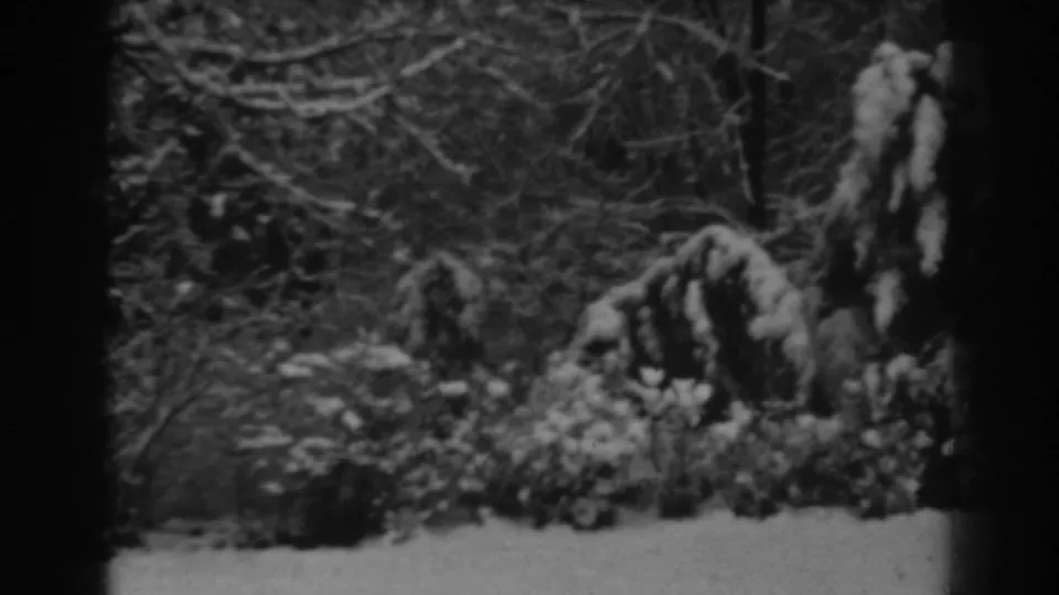 The final frame shows snow-coated shrubs and tangled bare branches, consistent with the 1938 Winchester winter scene.