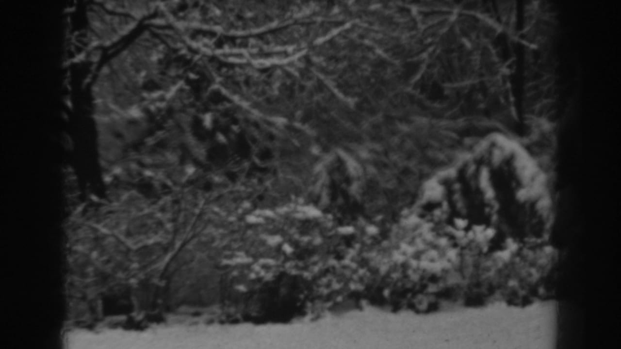 Snow-covered yard with bare trees and shrubs seen in soft black-and-white 8mm footage.