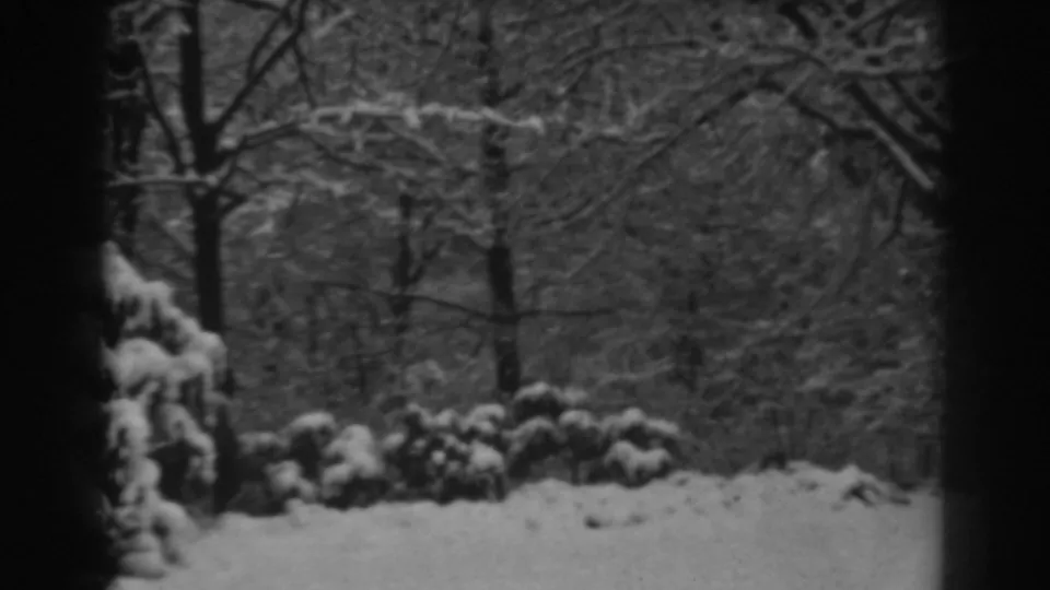 1938 home-movie frame from Winchester, Maryland showing snow-laden bushes beneath leafless branches in a quiet outdoor yard.