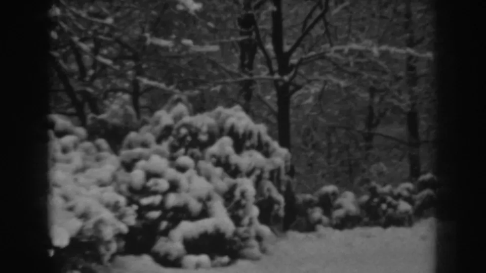 A closer 1938 Winchester, Maryland winter frame with snow piled on shrubs, bare trees behind, and dark 8mm frame edges.