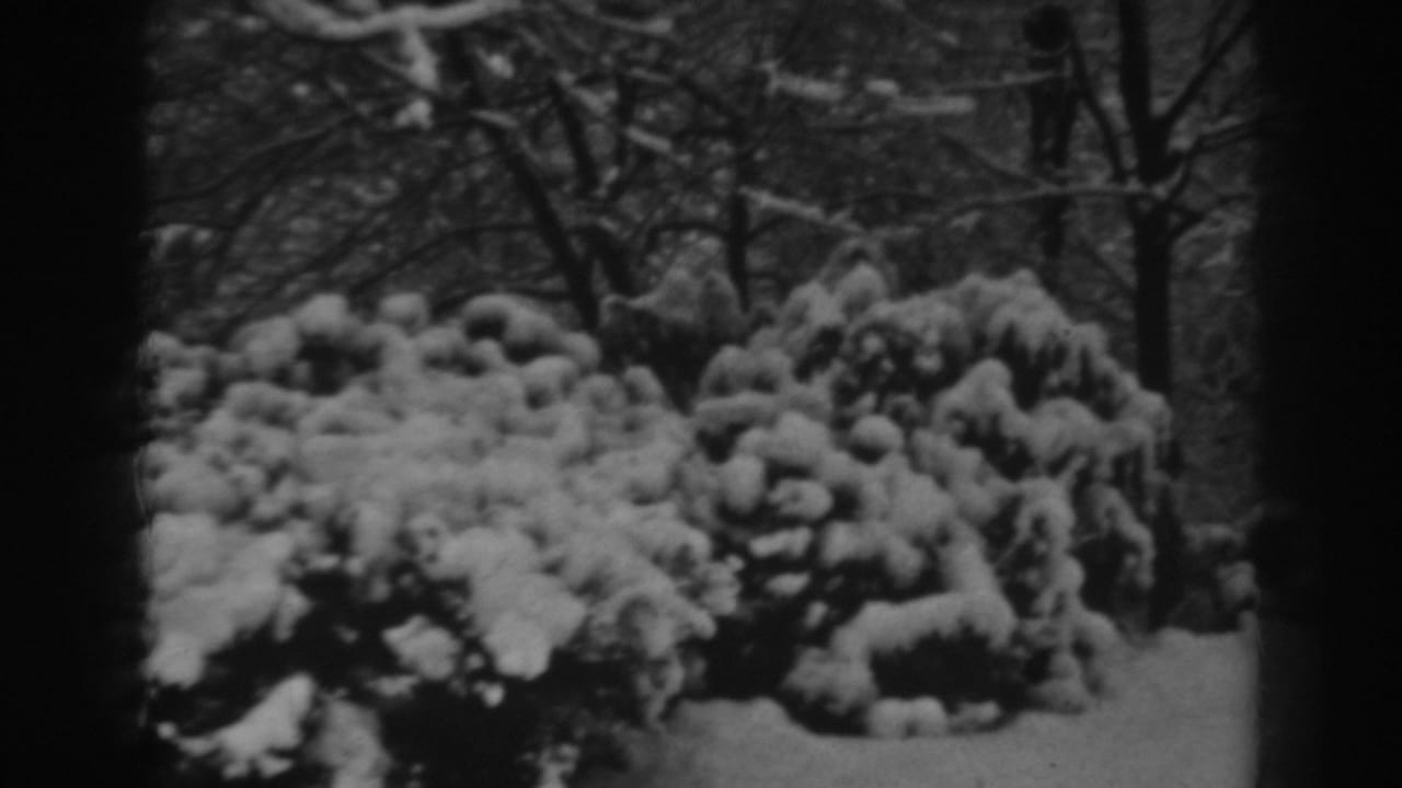 Black-and-white 8mm frame of snow-covered shrubs and winter trees in the supplied Winchester, Maryland setting.