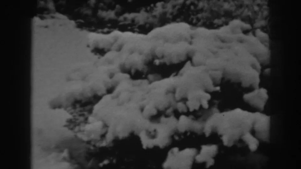 1938 Winchester, Maryland frame with a snow-covered bush in the foreground and a wooded winter background.
