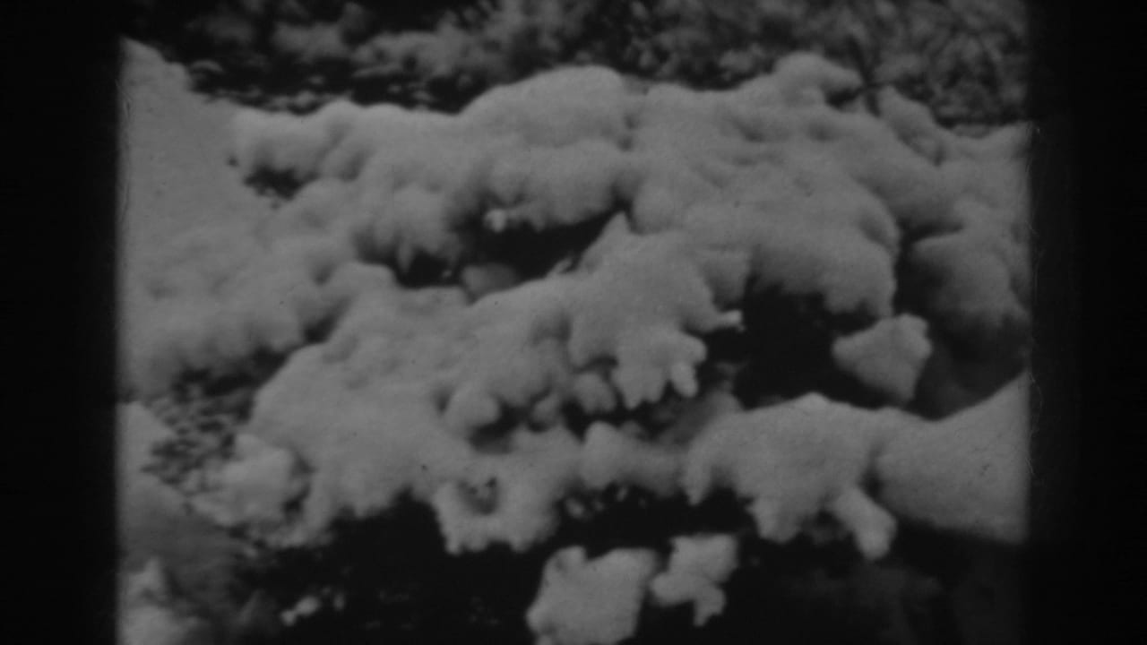 1938 Winchester, Maryland 8mm frame showing heavy snow resting on evergreen branches in a shaded winter landscape.
