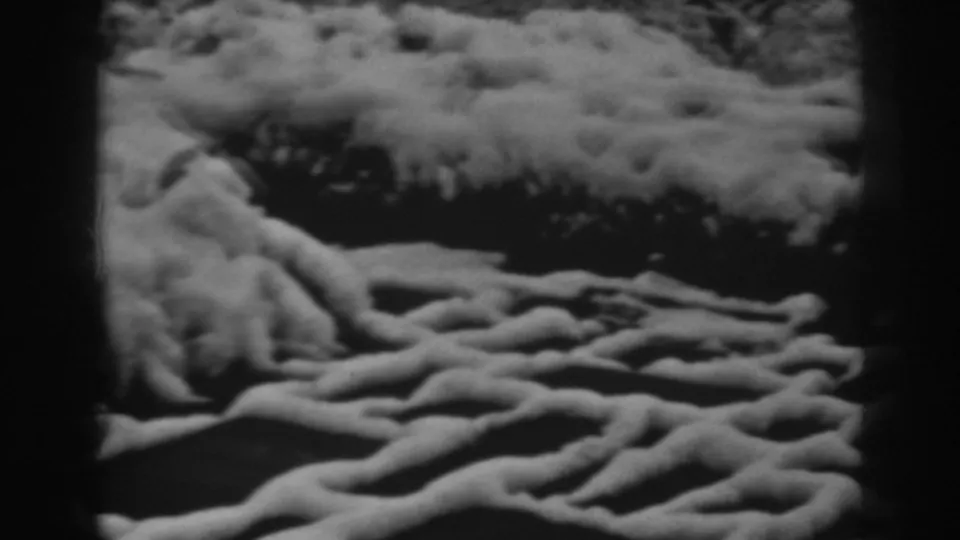 1938 8mm winter frame from Winchester, Maryland showing a low snowy shrub line above exposed roots and dark ground shadows.