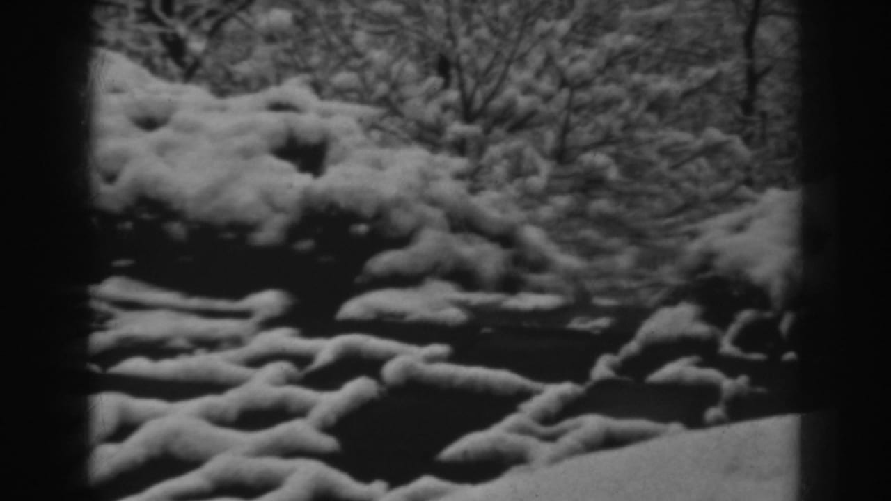 Snow-covered landscaping or woodland edge in Winchester, Maryland, filmed in high-contrast 8mm black and white.