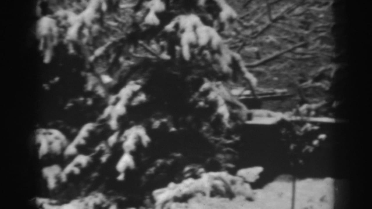 Black-and-white 1938 8mm frame showing snow on evergreen trees with a low wall or garden edge partly visible in Winchester, Maryland.