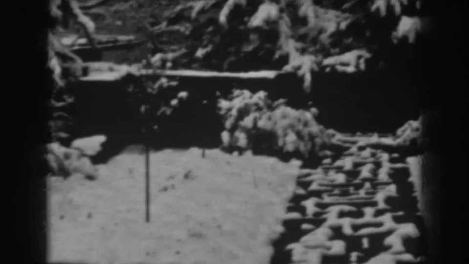 Black-and-white 1938 8mm frame showing a snowy path or walkway, evergreen trees, shrubs, and a low wall in Winchester, Maryland.
