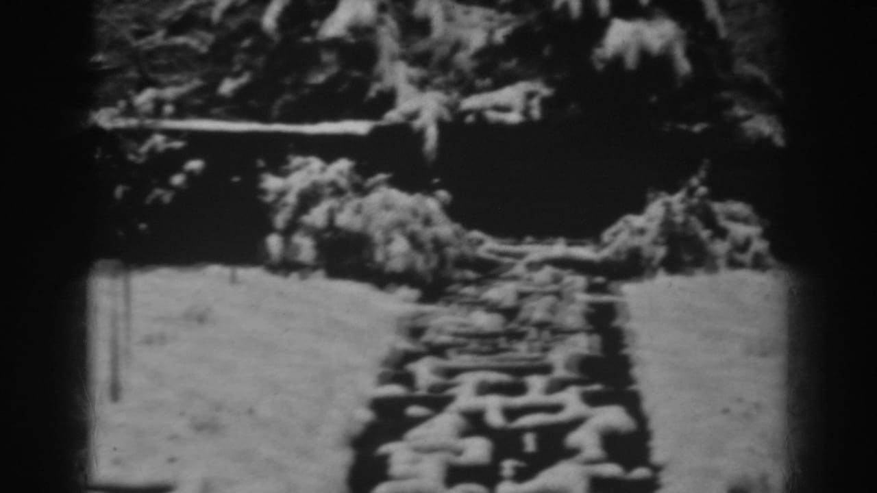 Snow-covered stone path leading through a dark wooded outdoor area.