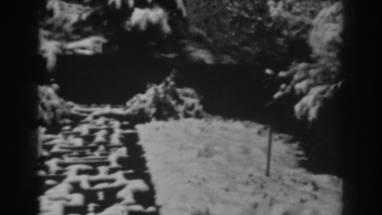 Snow-covered stone path or low formation in an outdoor wooded area, identified by metadata as Winchester, Maryland in 1938.