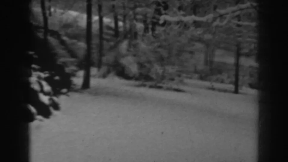 Late-1930s 8mm frame of a snow-covered wooded path with bare trees and a rocky bank in Winchester, Maryland.