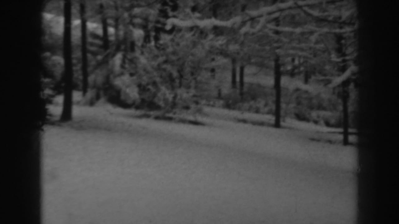 Black-and-white 1938 8mm frame of a snowy wooded landscape near Winchester, Maryland, with open ground and dark tree trunks.