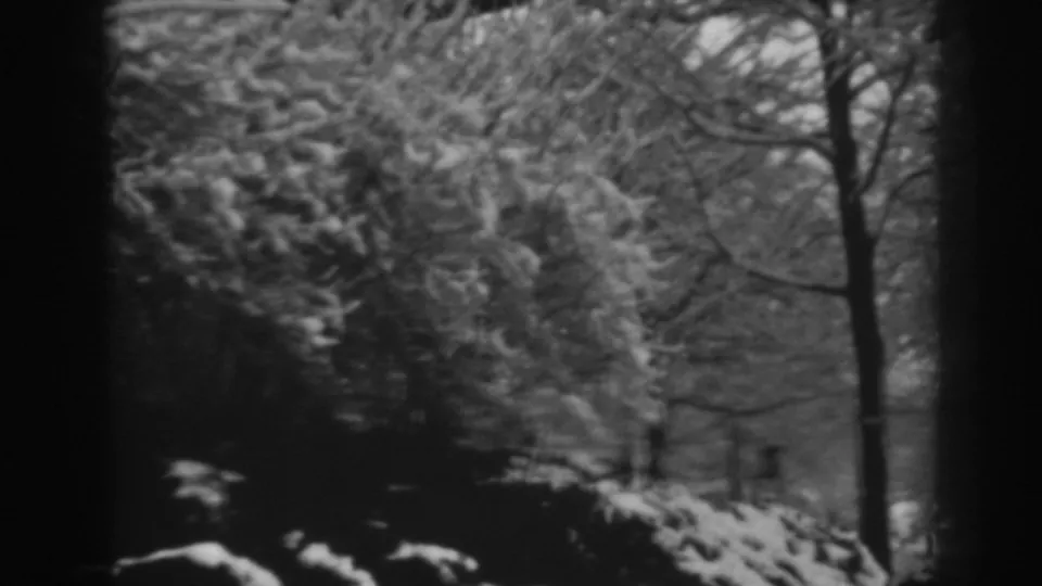 Black-and-white home-movie frame from Winchester, Maryland, with a bare trunk at right and snow-covered evergreens across the hillside.