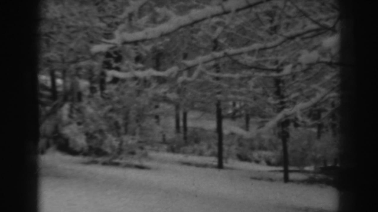 1938 Winchester, Maryland home-movie frame with snow on branches and trunks across a still winter landscape.