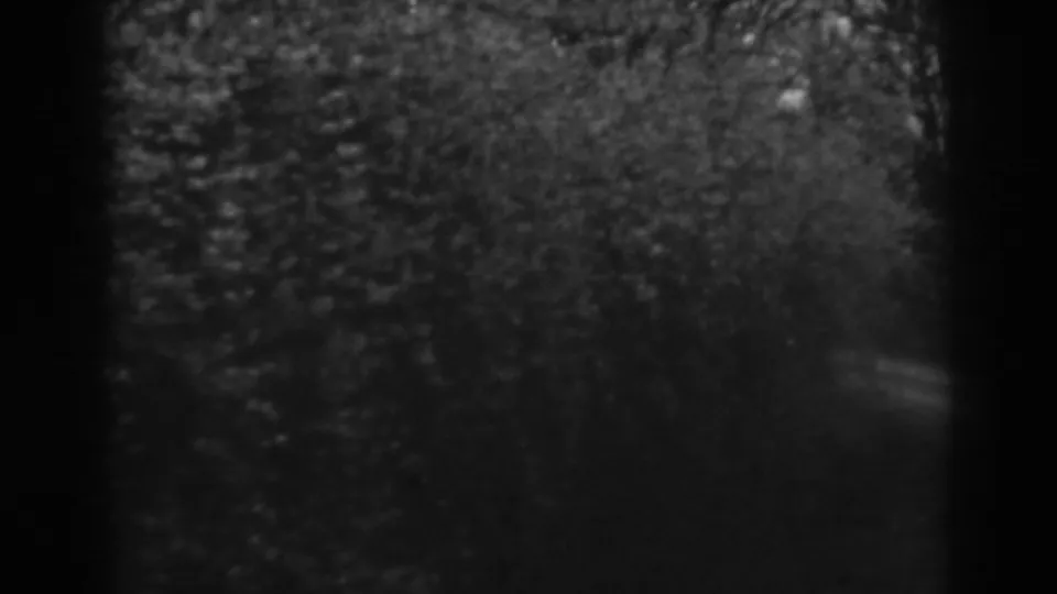 1938 8mm frame showing dense shaded foliage and a faint narrow path or road edge at right in Winchester, Maryland.