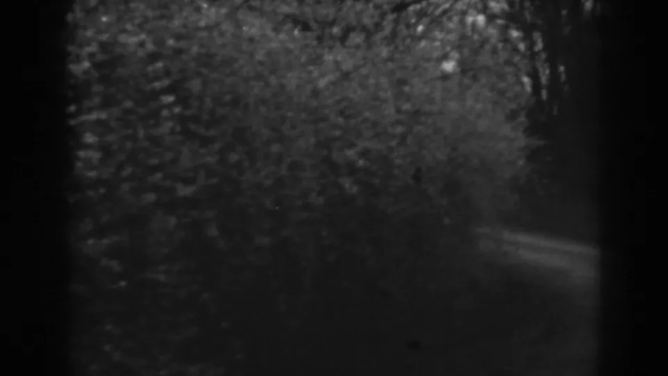 Late frame from the 1938 Winchester, Maryland pan, with a narrow path visible beside dark hedge and wooded shadows.