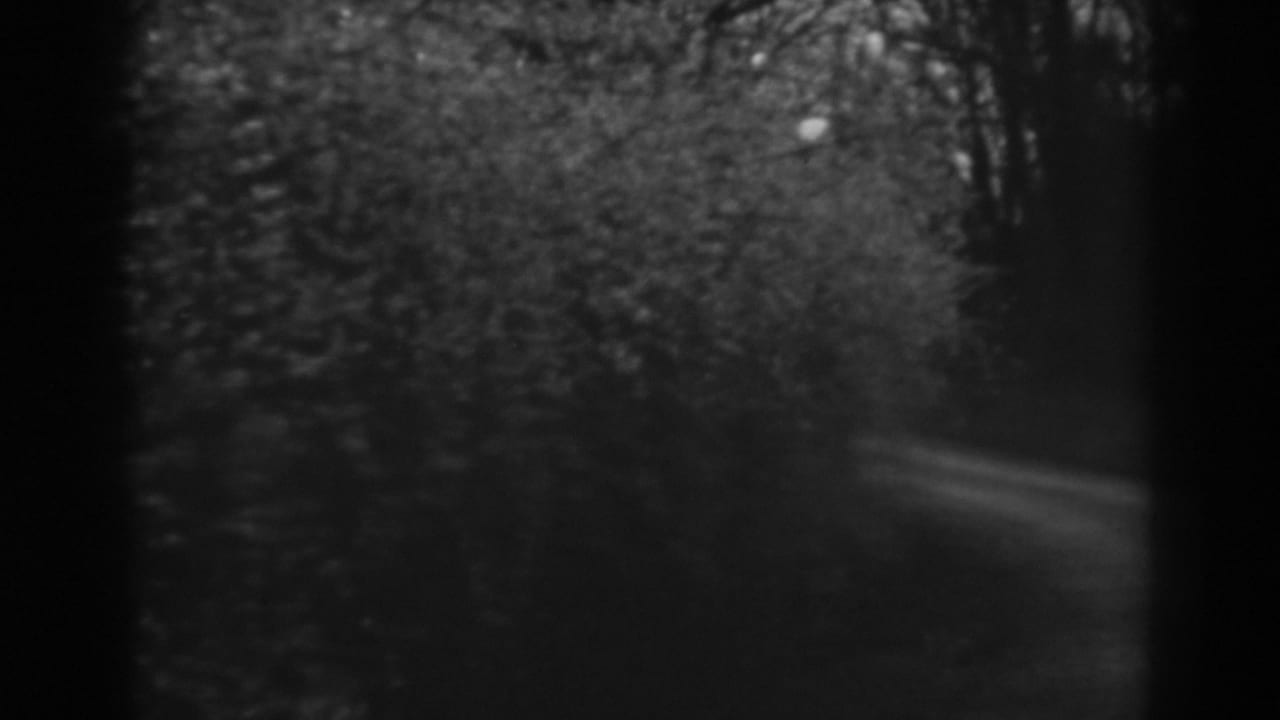 Dark grayscale view of shrubs and a faint dirt path behind heavy frame shadows.