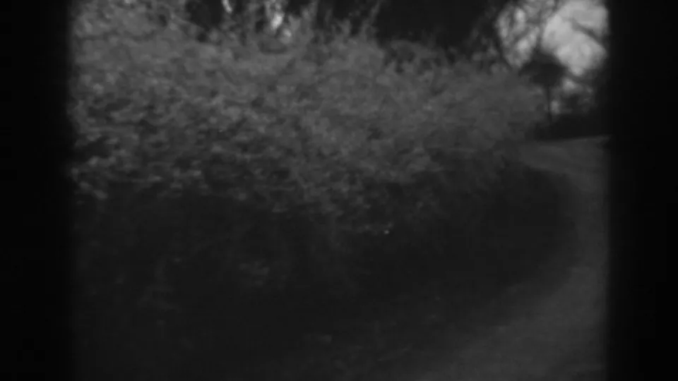 1938 Winchester, Maryland 8mm frame with dense roadside bushes and a dirt path at the right.