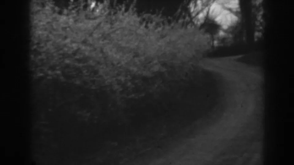1938 Winchester, Maryland home-movie frame showing a curving dirt path beside dense shrubbery.