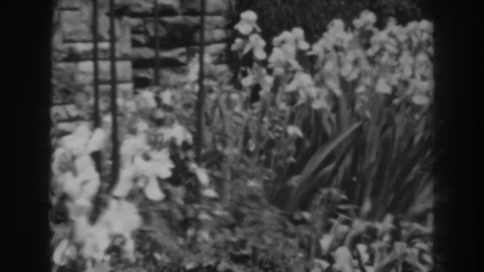 The final frame shows white irises, long leaves, trellis supports, and stonework in soft black-and-white 1938 home-movie footage.