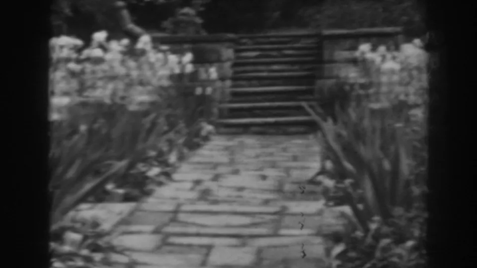 Late-frame view of the Winchester garden with a stone path leading toward steps, bordered by flowering plants and tall leaves.