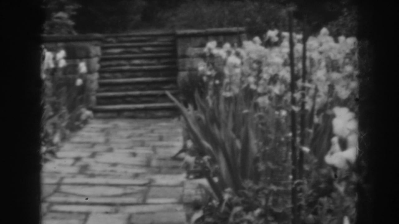 Stone garden path leading to short steps between flowering plants.