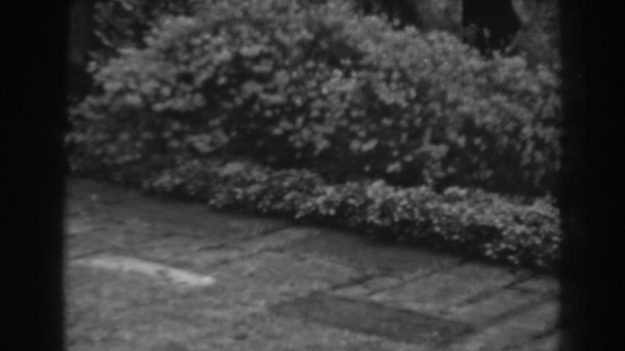 Stone patio and trimmed garden border in a 1938 Winchester, Maryland 8mm home-movie view.