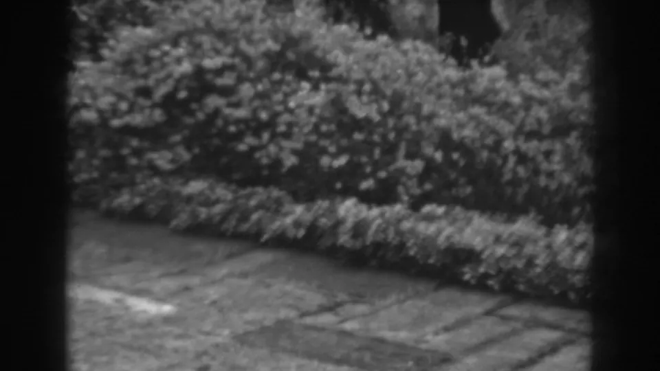 Soft 8mm view of shrubbery and a paved garden patio, identified by metadata as Winchester, Maryland in 1938.