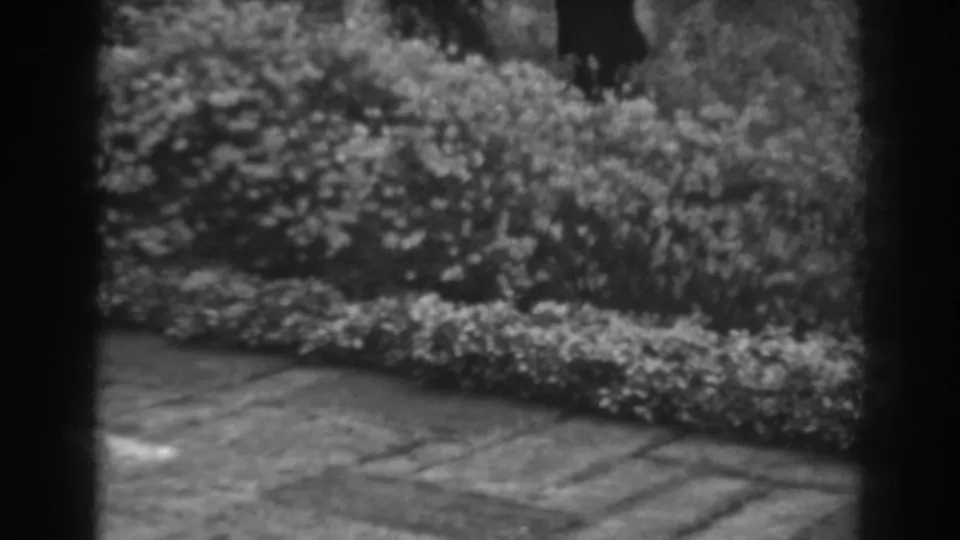Black-and-white 8mm frame of dense shrubs beside patio stones in the 1938 Winchester, Maryland garden footage.