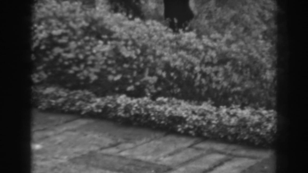 1938 Winchester, Maryland garden view with a stone path, clipped bushes, small trees, and dark edges suggesting a window or doorway.